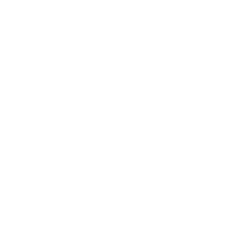 BITS Logo