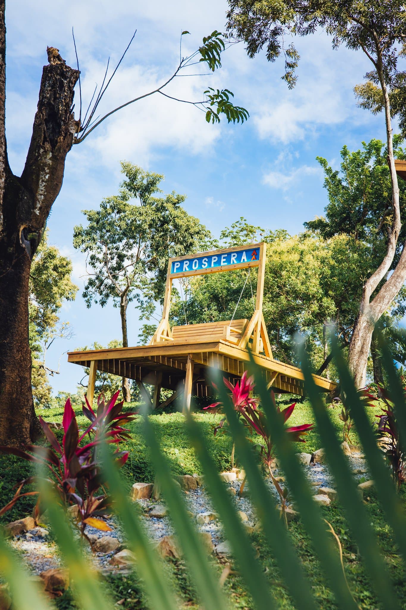 Una plataforma de madera con un letrero que dice PROSPERA, situada entre exuberante vegetación y árboles. La plataforma, elevada y rodeada de plantas y follaje vibrantes, crea un espacio exterior sereno y acogedor.