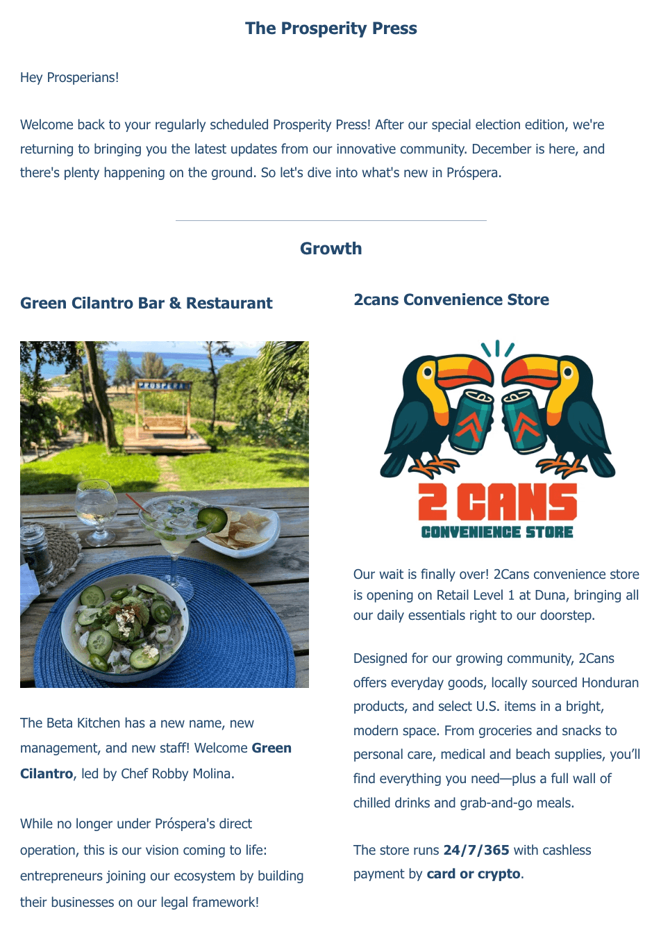 Preview of Prósperity Press newsletter